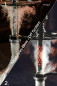Preview: INVI Recursion Edelstahl mit LED-Schaft (Silber)