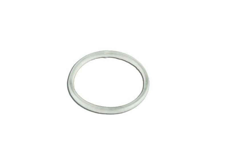 Dichtungsring